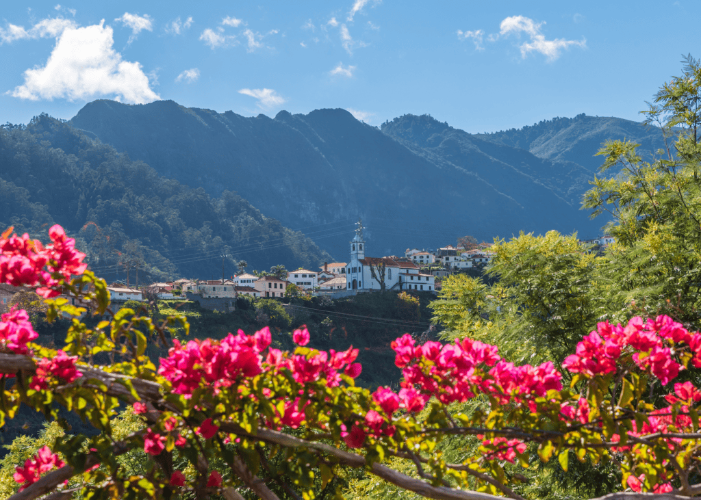 A hillside village in Madeira Portugal with a white church, lush green mountains, and vibrant pink bougainvillea in the foreground