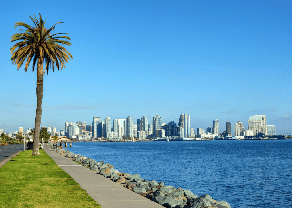 A tall palm tree stands along the waterfront walkway in San Diego, California, with the city's modern downtown skyline reflected in the calm blue waters of the bay on a clear sunny day.