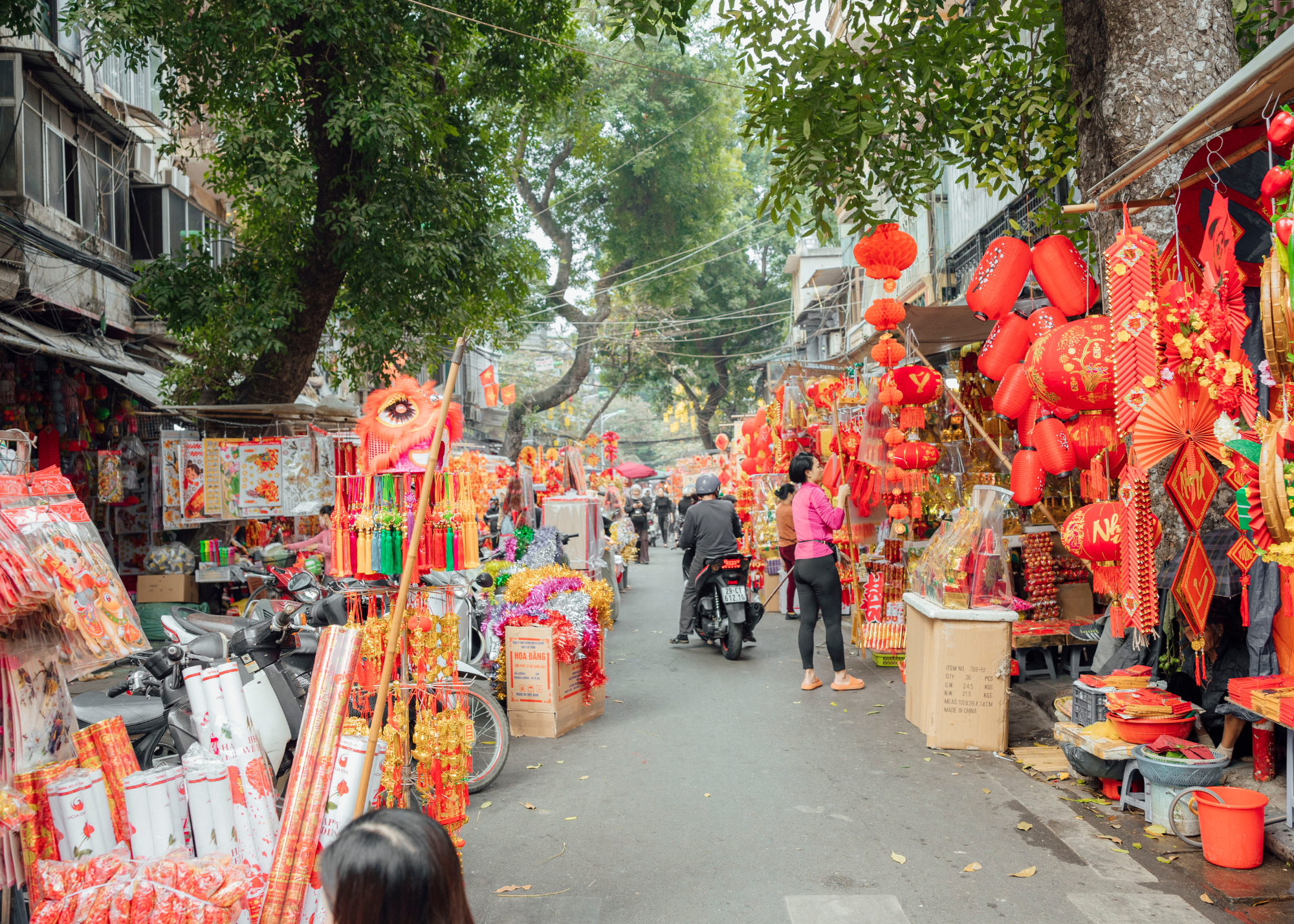 Traveling and Cultural Experiences: The World Reimagined
