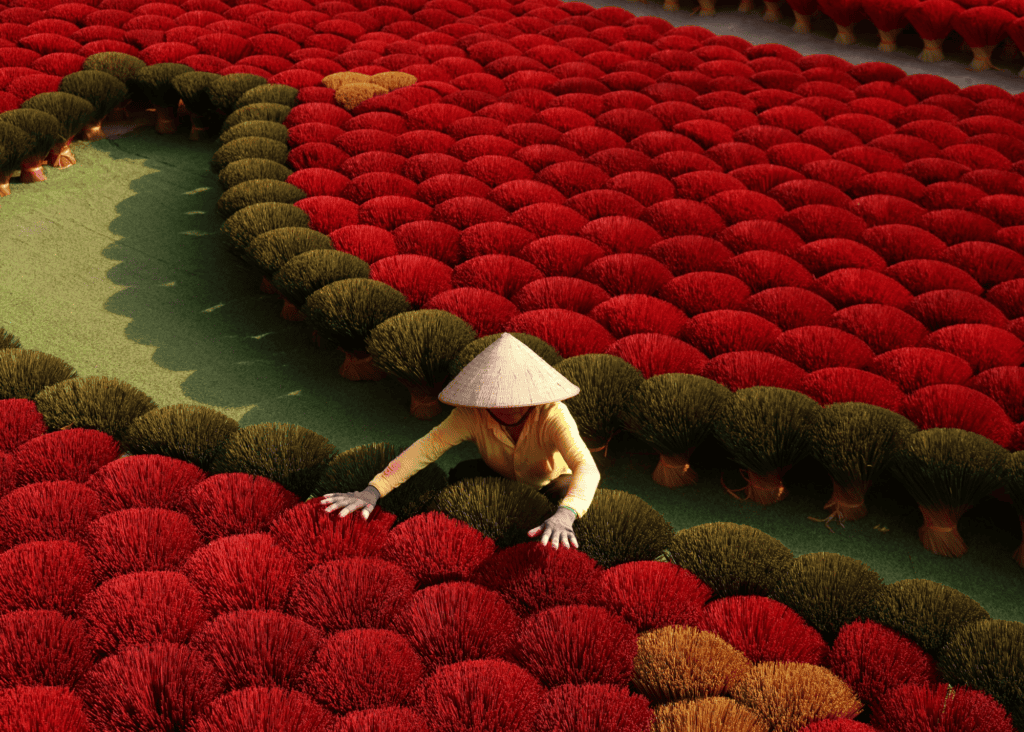 Aerial view of a Vietnamese woman in a traditional conical hat surrounded by thousands of vibrant red and green incense sticks fanned out to dry on the ground at a traditional incense making village near Hue, Vietnam.