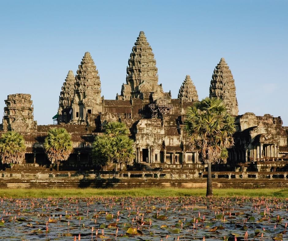 Angkor Wat temple towers rising behind palm trees and a lily pond in Cambodia.