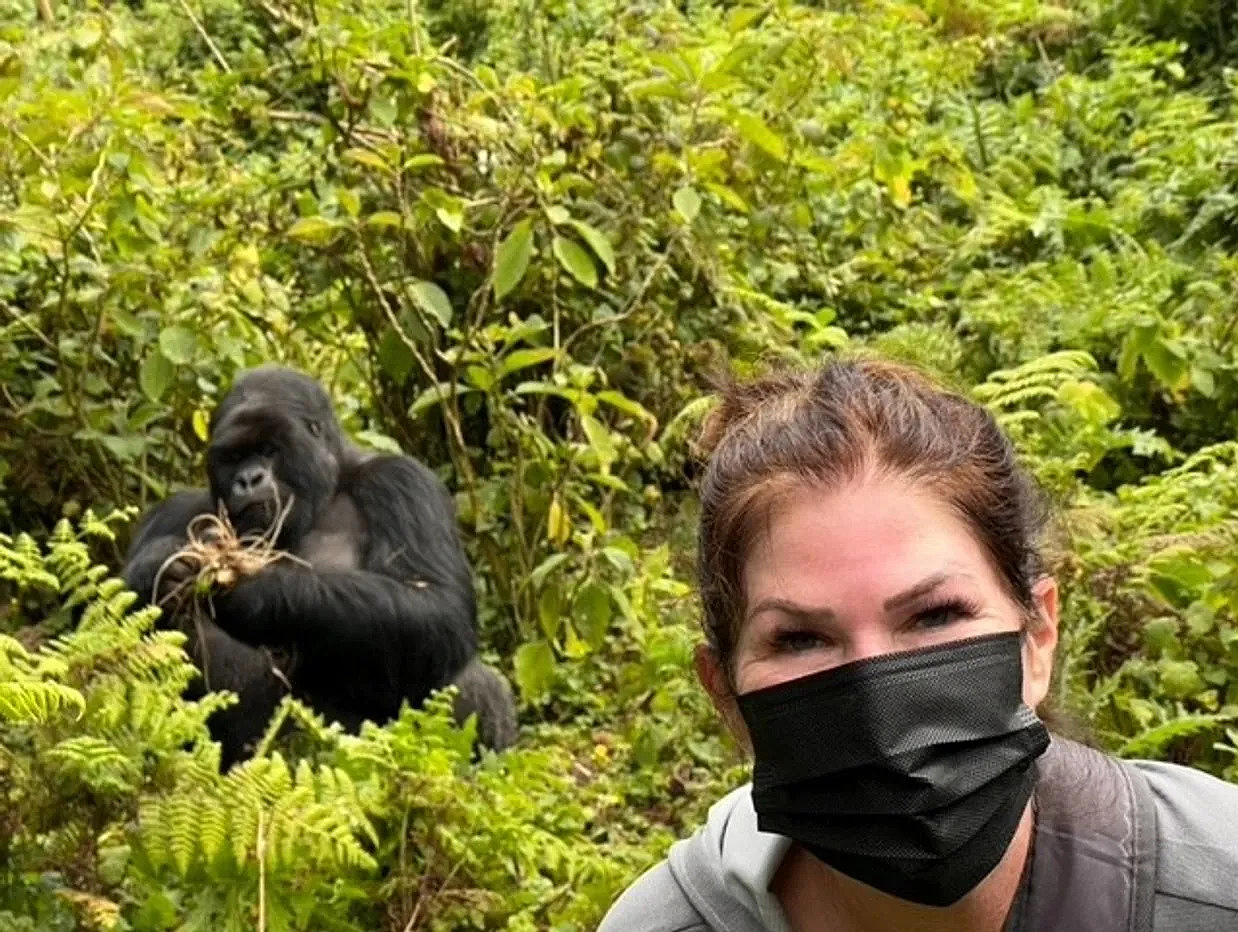 Gina Arefi Travel - About Gina Travels and Experience