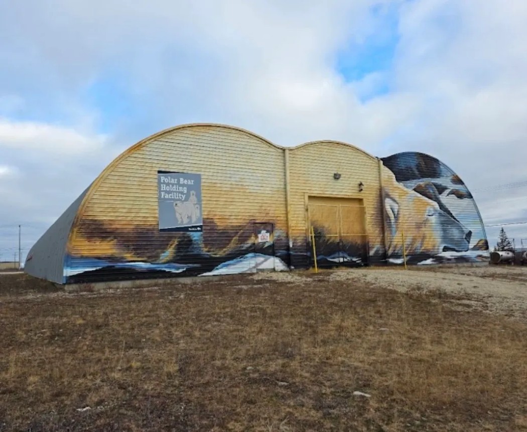 Visit the Polar Bear Jail