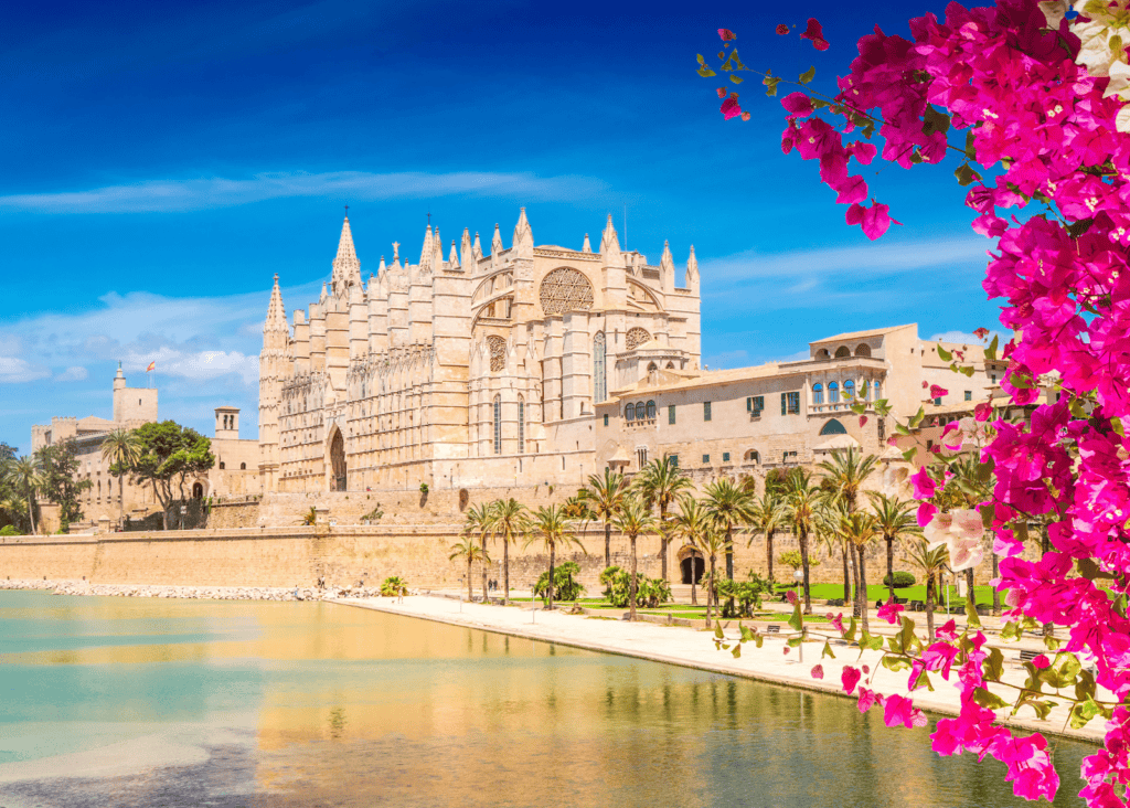 La Seu Cathedral in Palma de Mallorca overlooking the waterfront with pink bougainvillea flowers in the foreground.