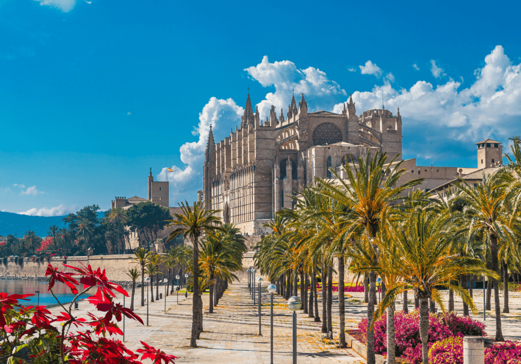 La Seu Cathedral in Palma de Mallorca, Spain surrounded by palm trees and colorful flowers under a blue sky