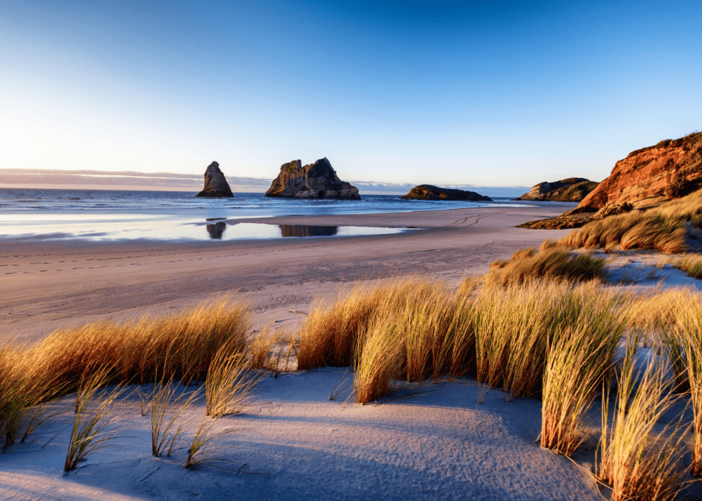 Golden coastal grasses and white sand dunes at Wharariki Beach New Zealand with dramatic rock formations rising from the ocean at sunset.