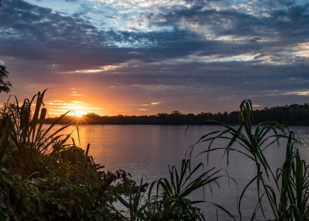 Dramatic orange and purple sunset over the Amazon River in Peru with tropical jungle silhouetted along the far bank and lush vegetation in the foreground