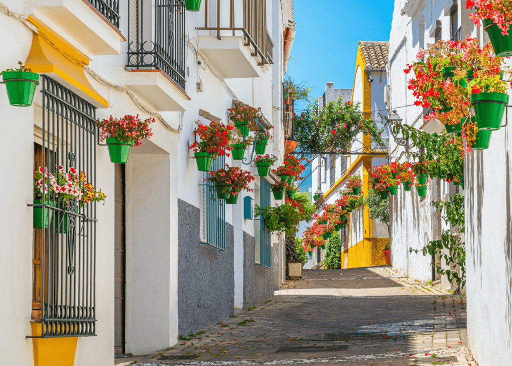 A narrow cobblestone street in an Andalusian village in Spain lined with whitewashed buildings, wrought iron balconies, and green flower pots overflowing with red geraniums under a bright blue sky.