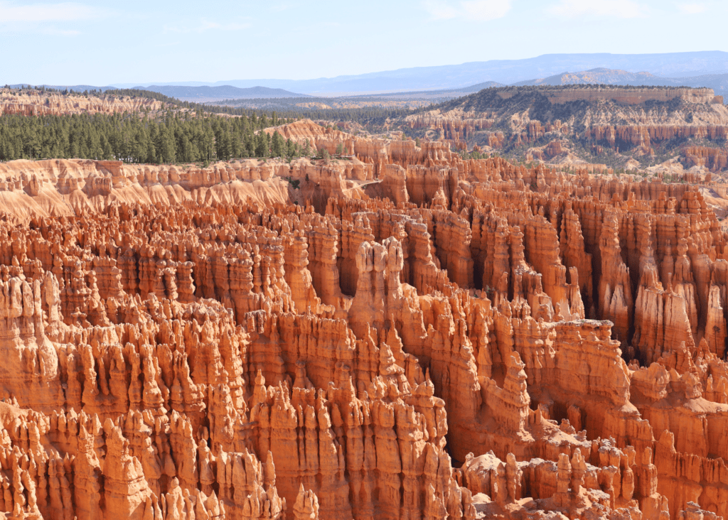 Thousands of orange and red hoodoo formations filling the Bryce Canyon amphitheater with pine forest and mountains in the background Utah.