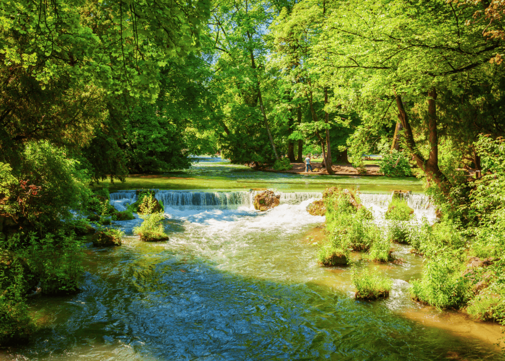 Green tree lined waterway with small cascading rapids inside the English Garden park in Munich Germany.
