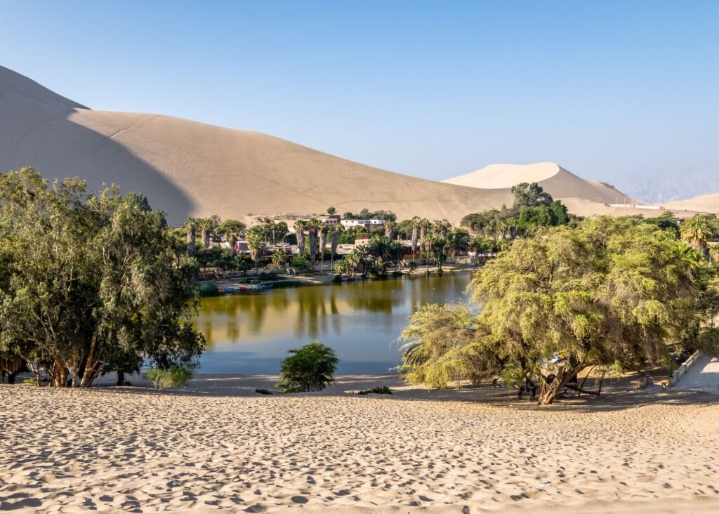 The Huacachina oasis in Peru with a calm lagoon ringed by palm trees and lush green vegetation surrounded by towering sand dunes under a clear blue sky