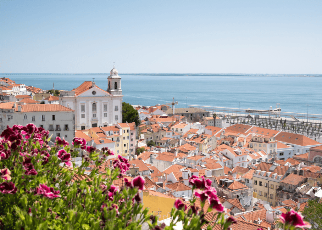 Aerial view of Lisbon Portugal with orange rooftop terracotta tiles, a white baroque church tower, and the Tagus River stretching out under a clear blue sky with pink flowers in the foreground.