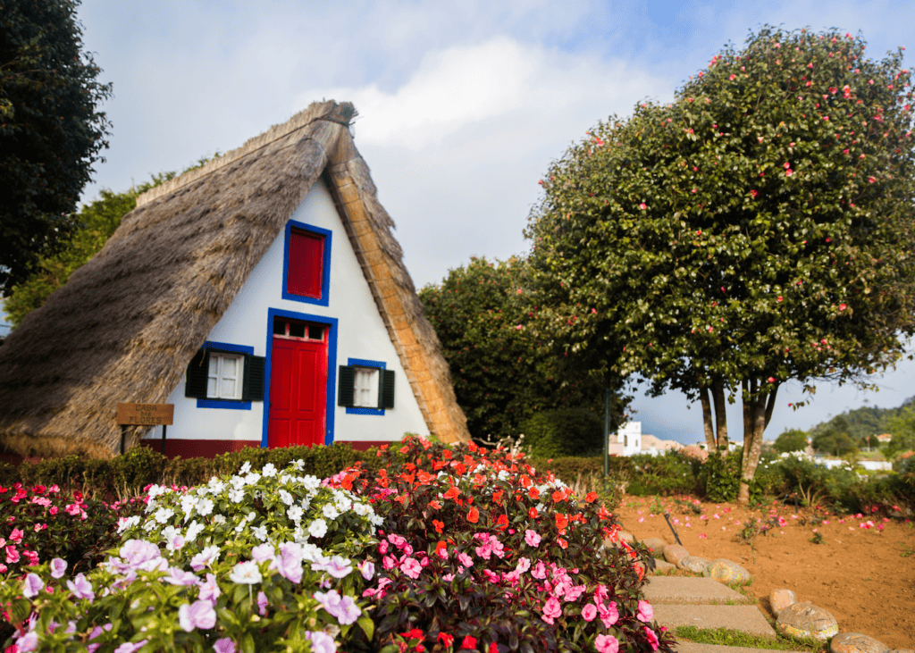 Traditional A-frame thatched roof house painted white with red door and blue trim surrounded by colorful flowers in the village of Santana Madeira Portugal.