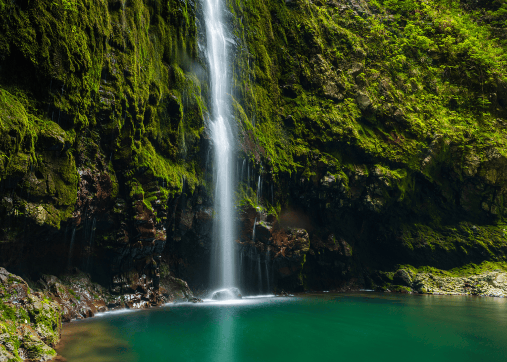 Tall waterfall cascading down a moss-covered volcanic rock face into a bright emerald green pool in the lush interior of Madeira Portugal.