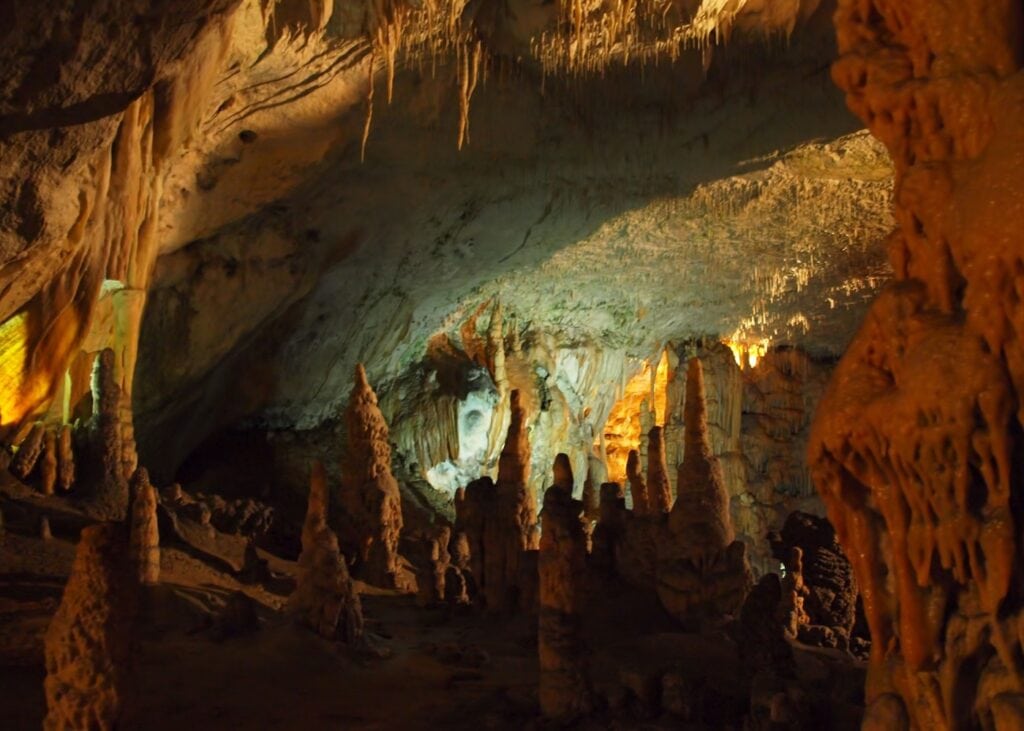 Interior of Postojna Cave in Slovenia showing dramatic stalactites hanging from the ceiling and stalagmite formations rising from the cave floor, illuminated in warm golden and amber light.