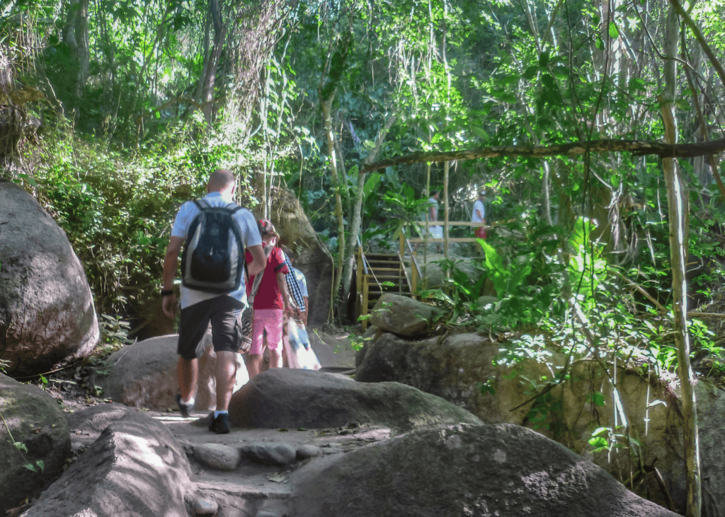 A family hikes along a rocky jungle trail through dense tropical forest in Tayrona National Park Colombia with dappled sunlight filtering through the tree canopy.