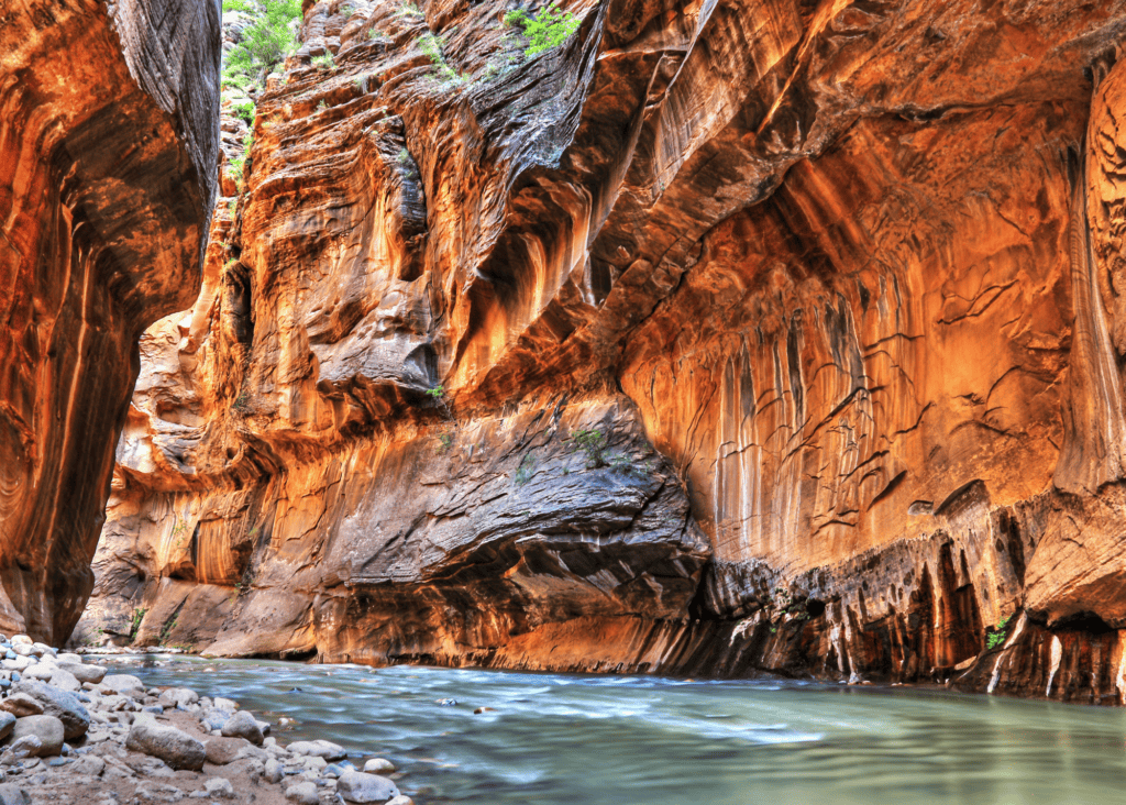 The Virgin River flowing through Zion Canyon with the Watchman peak and red sandstone cliffs rising above green cottonwood trees in Zion National Park Utah.