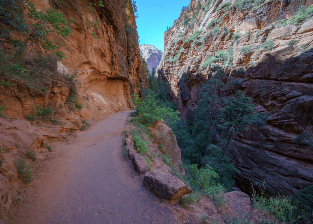 Paved trail winding through Zion Canyon with towering dark sandstone walls and lush green trees lining the path in Zion National Park Utah.