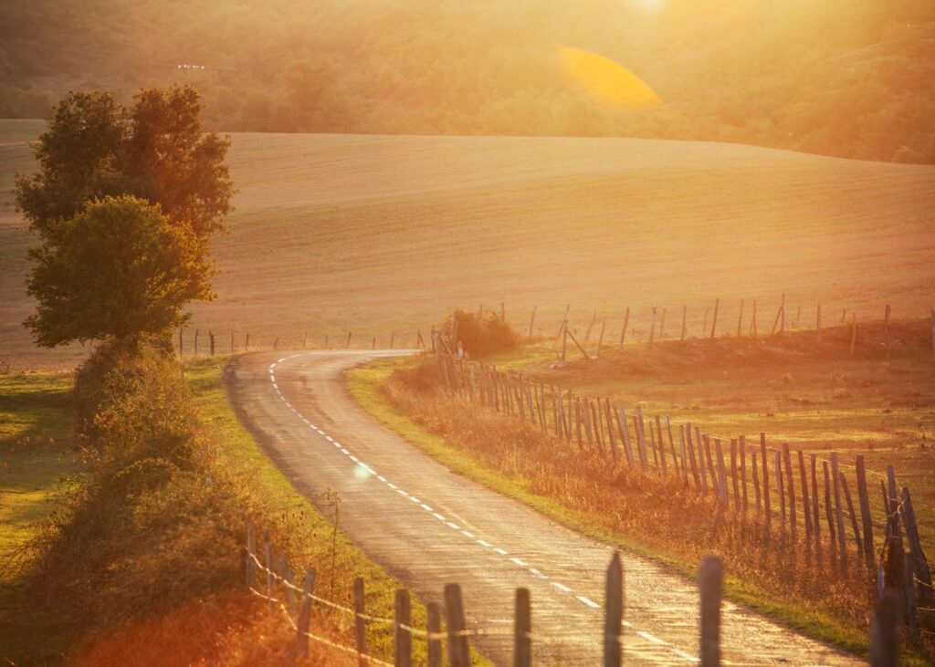 A winding rural road through harvest gold fields in the Basque Country countryside of northern Spain with a tree showing early autumn color and warm golden late afternoon light flooding the scene.