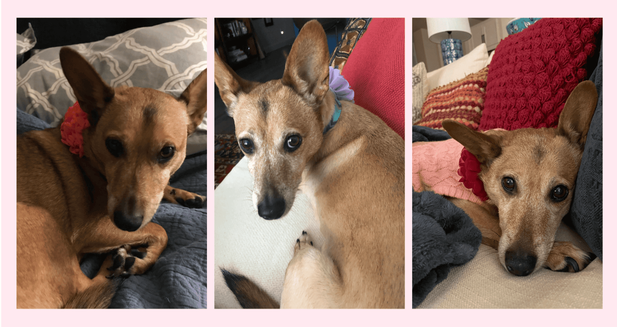 Penelope’s Adventures: The Story Behind the Children’s Travel Book Series