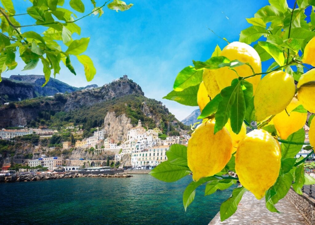 Lemons hanging from a tree overlooking Amalfi town and the coastline in Italy.