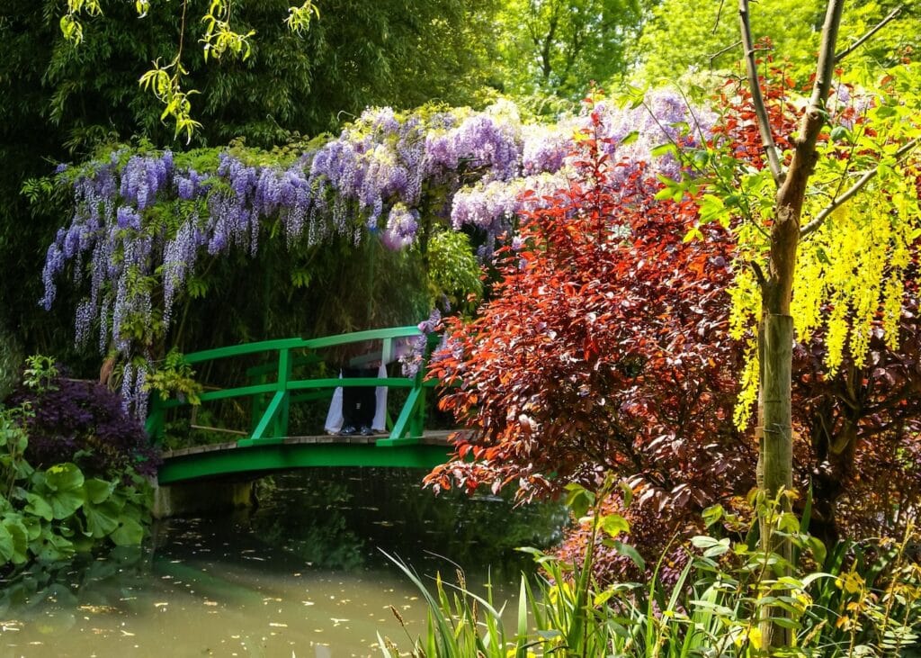 Japanese bridge surrounded by blooming wisteria in Claude Monet's gardens at Giverny, France