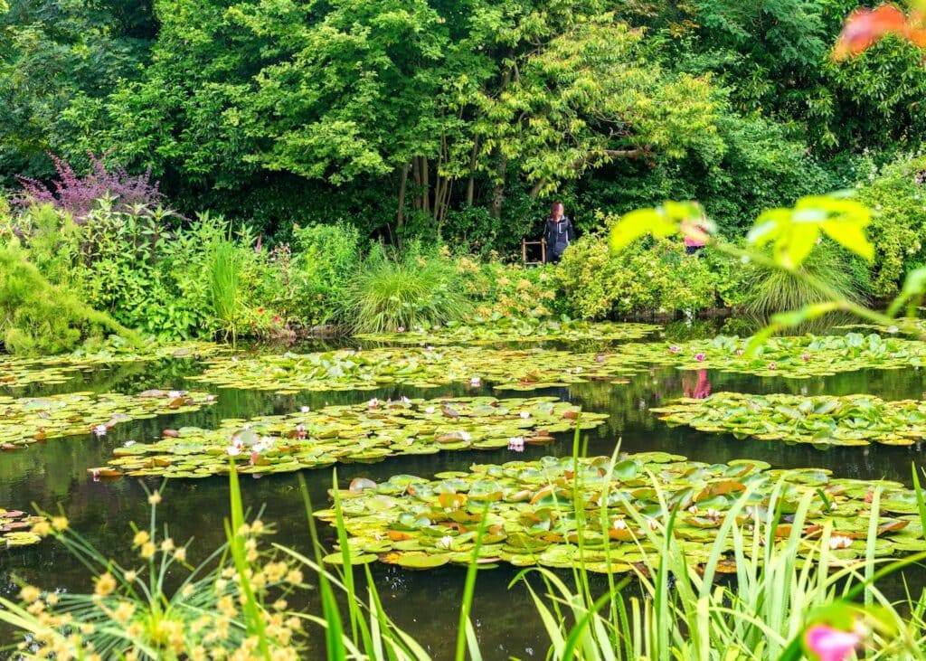 Water lily pond in Claude Monet's gardens at Giverny, France