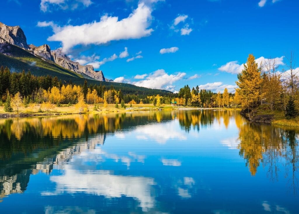 Golden larch trees and snow-dusted mountains reflected in a calm blue lake in Banff, in the Canadian Rockies, in early autumn.