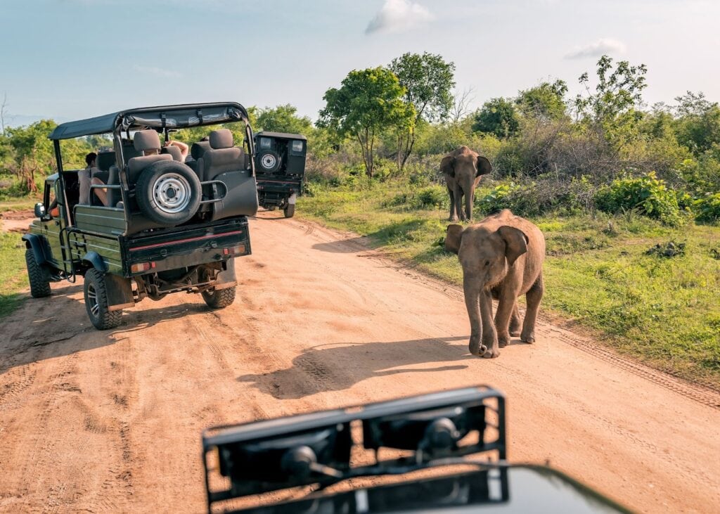 Elephants crossing a dirt road in front of open safari vehicles