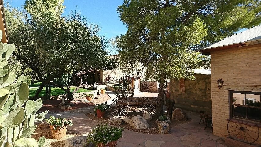 A shaded courtyard at Tanque Verde Ranch in Tucson Arizona with prickly pear cactus, desert plants, and historic stone buildings under blue skies.